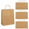 Buy 🥰 10 1/2" x 5 1/4" x 13" Large Brown Kraft Paper Gift Bags - 12 Pc. 🔔